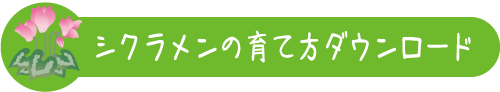 シクラメンの育て方ダウンロード